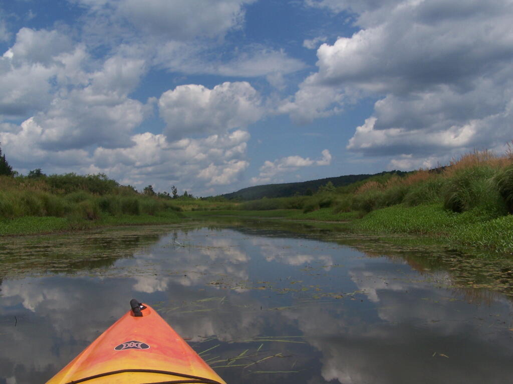 Photo: Wider But Shallow Section of Beaver Creek