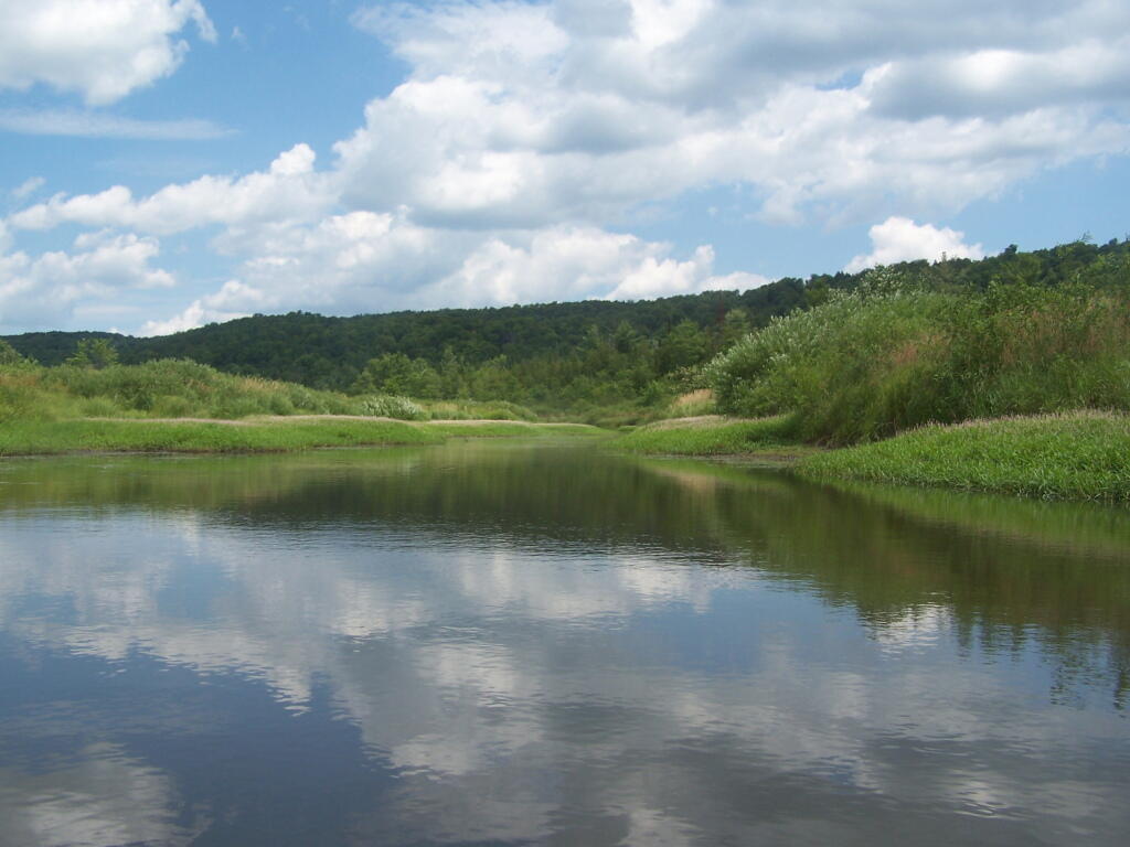 Photo: More Open Section of Beaver Creek Photo: More Open Section of Beaver Creek