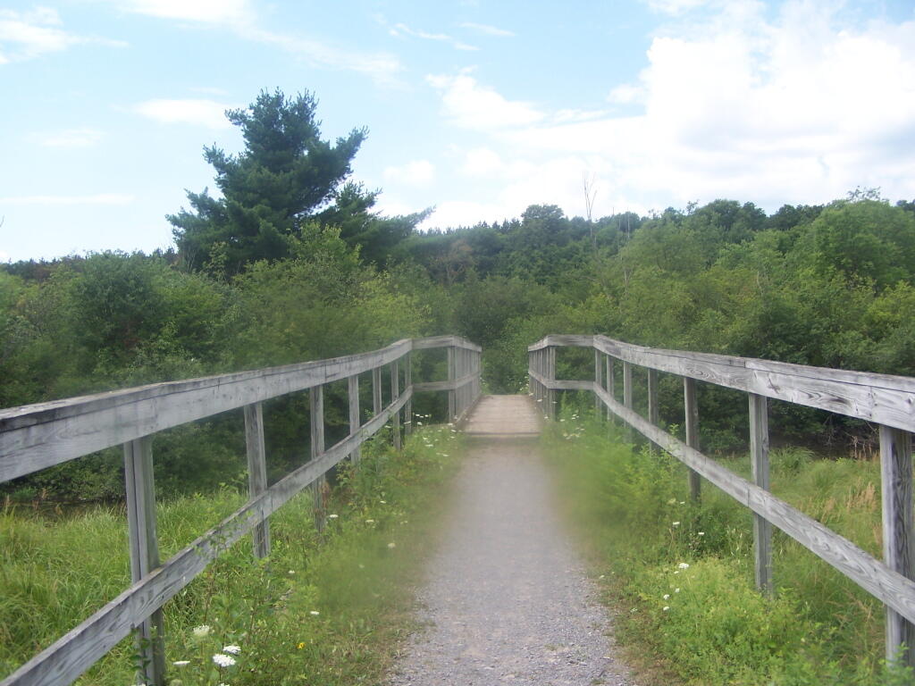 Photo: Horse Trail 60 Bridge