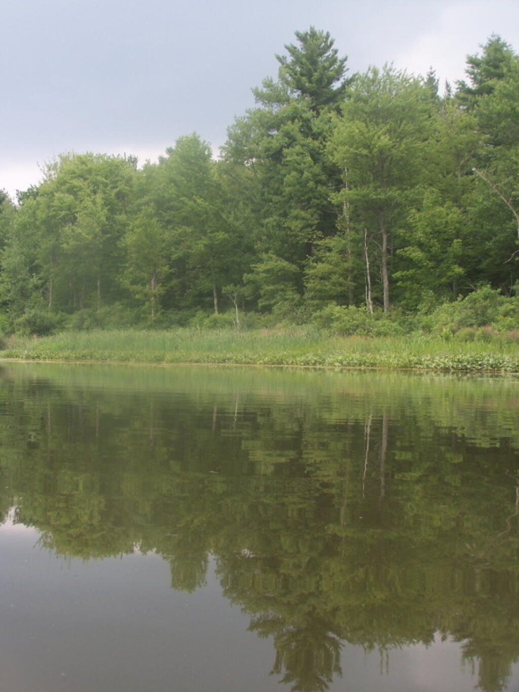 Photo: Reflections Photo: Reflections