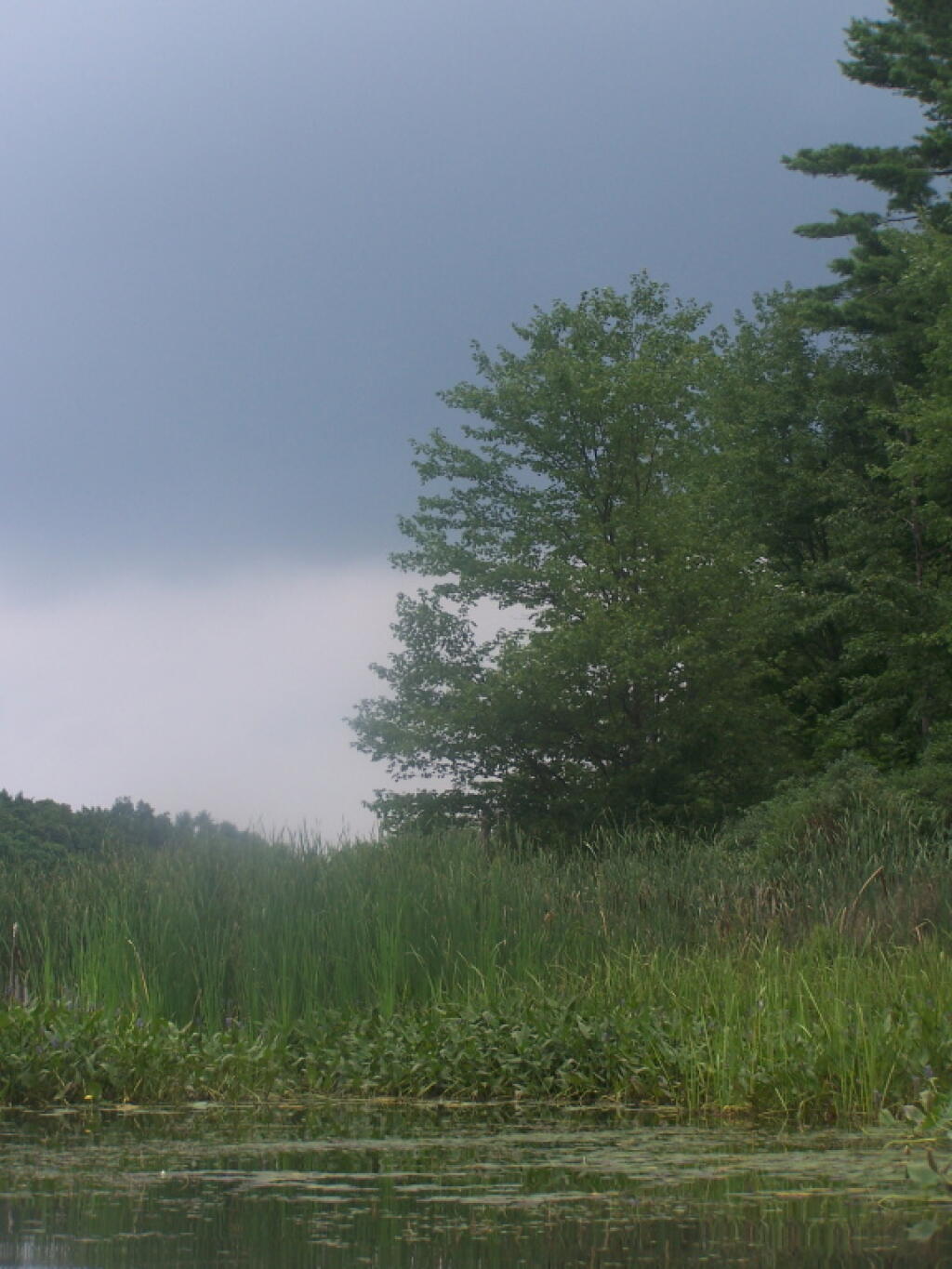Photo: Clouds Hanging Low Photo: Clouds Hanging Low