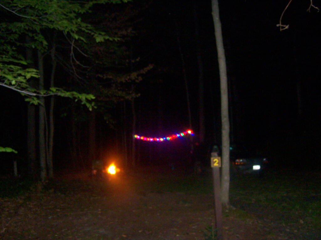 Photo: Campsite 2 After Dark Photo: Campsite 2 After Dark