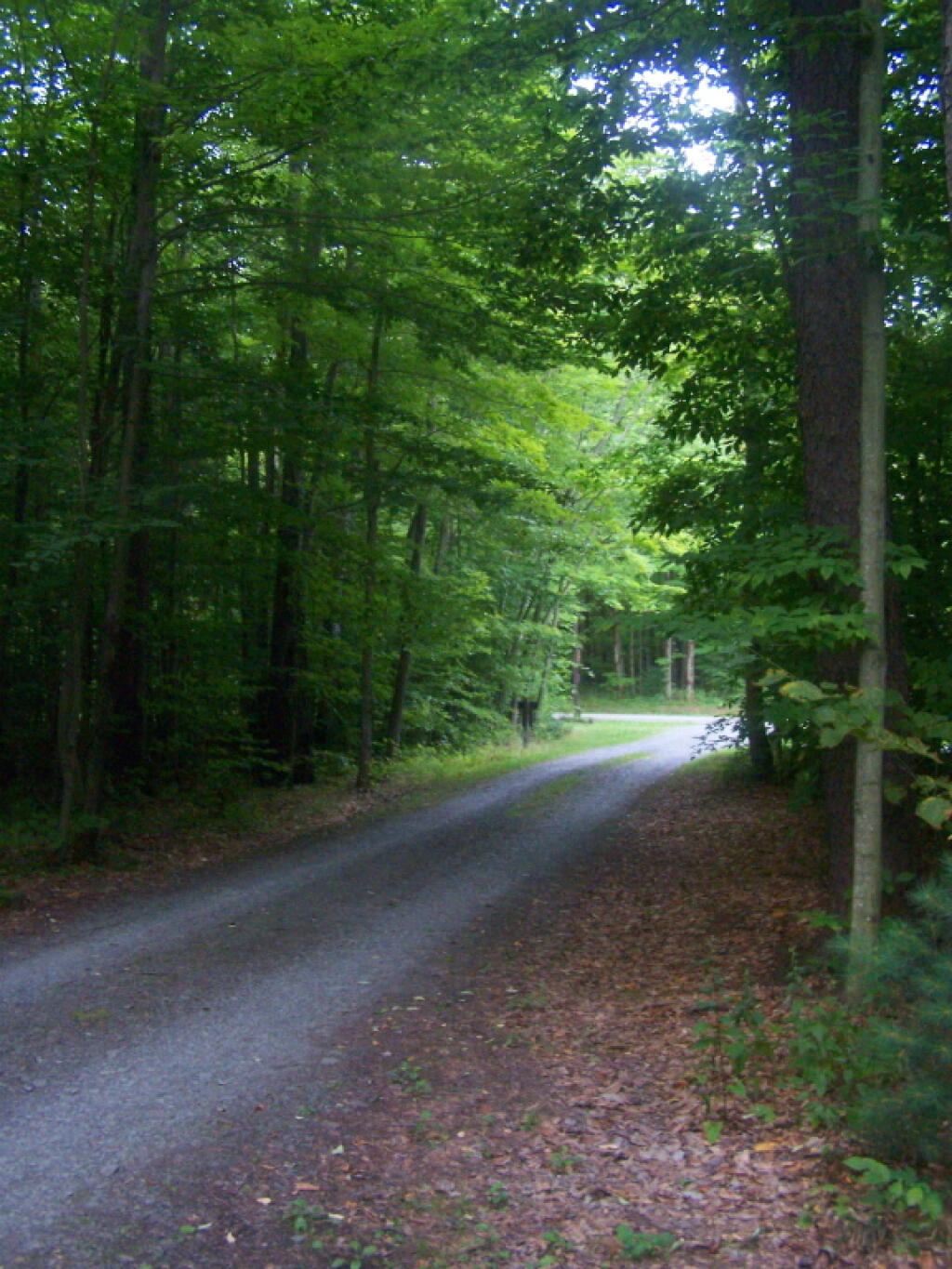Photo: Cherry Ridge Truck Trail