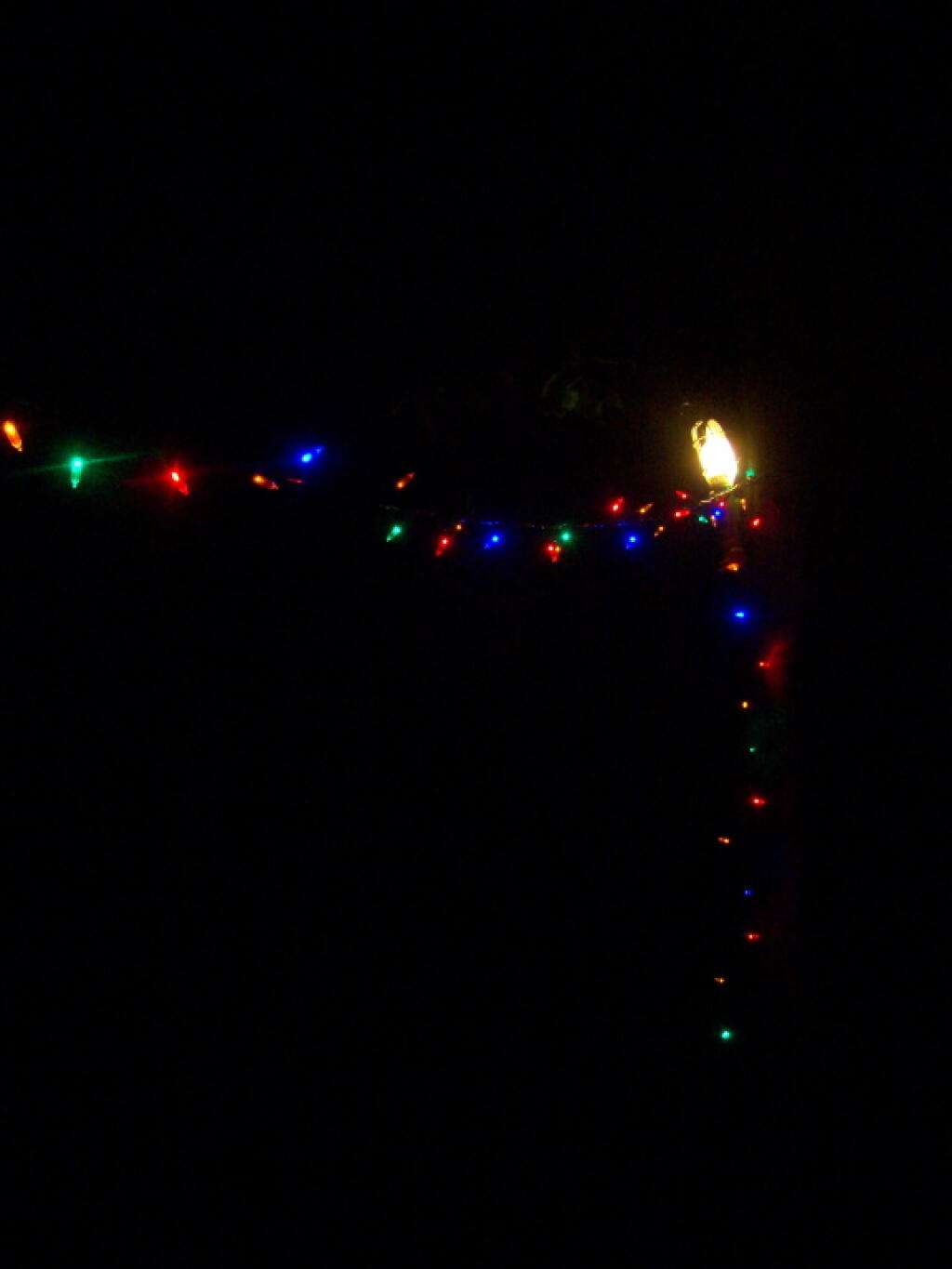 Photo: Christmas Lights