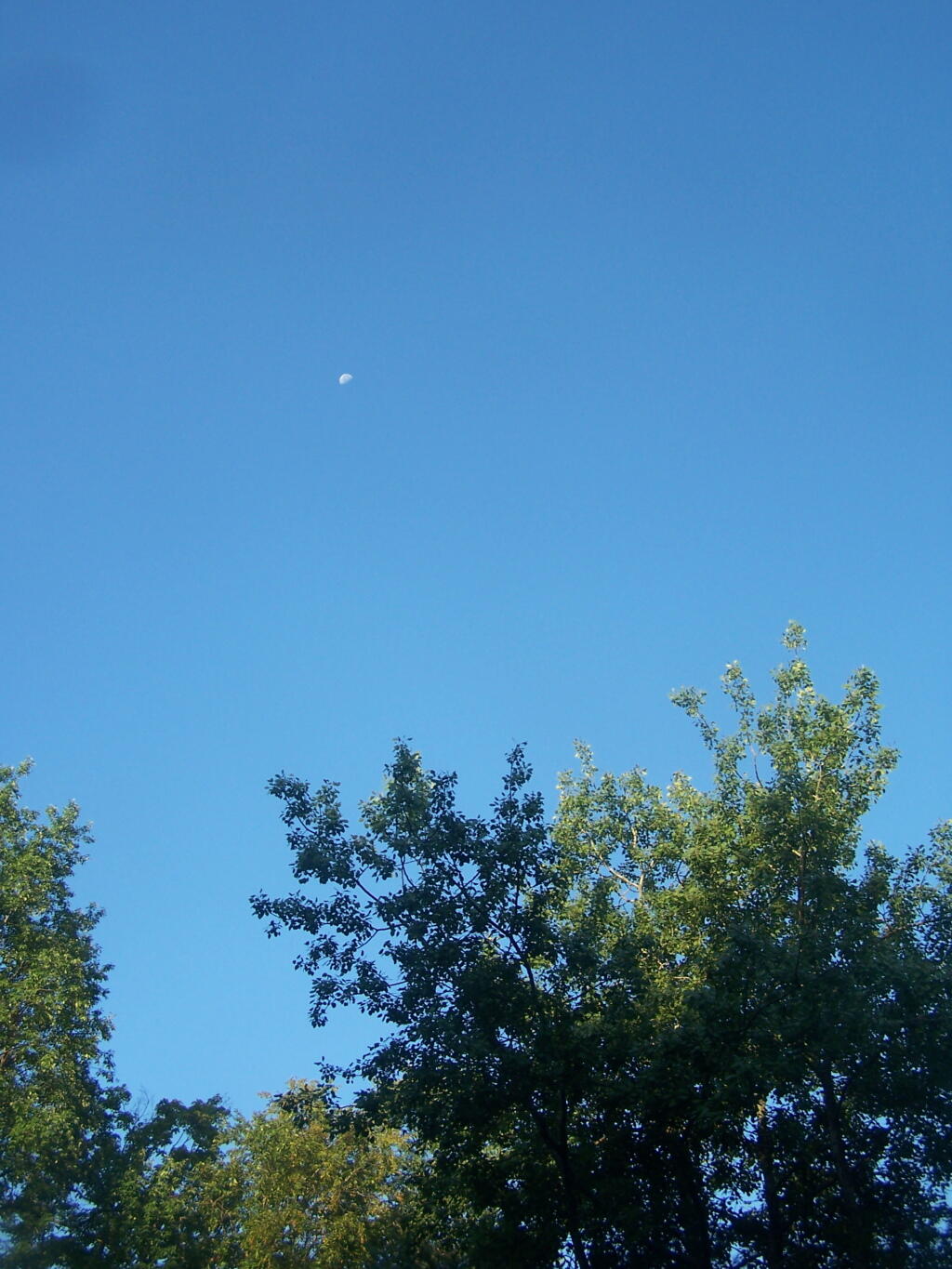 Photo: 3/4 Full Moon