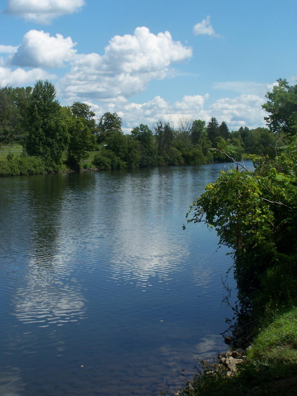 Photo: East on Canal from Tow Path on Cauvaugh Road
