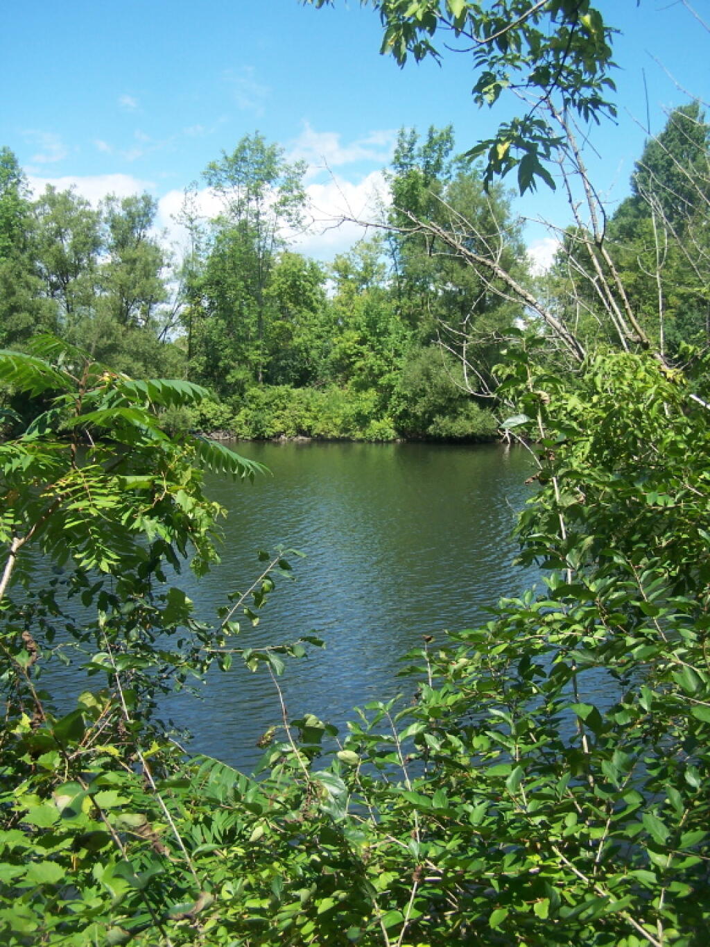 Photo: Canal