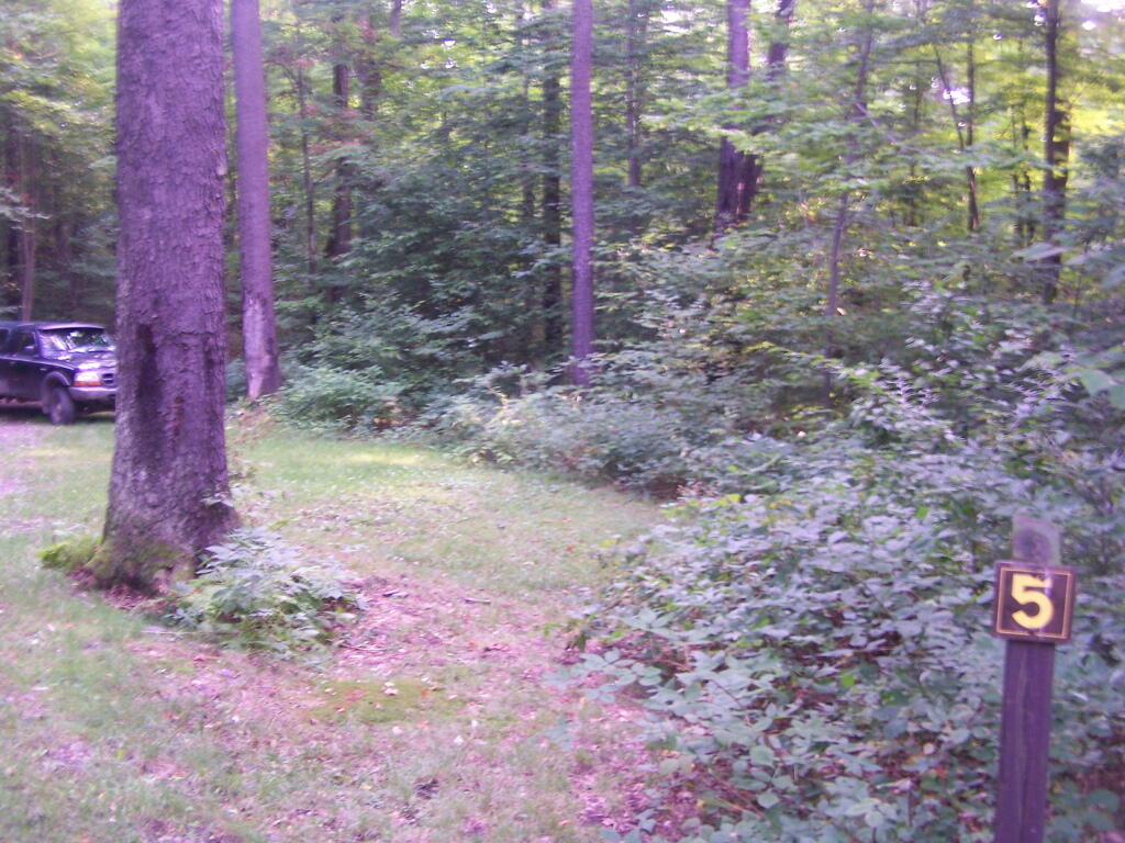 Photo: Campsite 5 Photo: Campsite 5