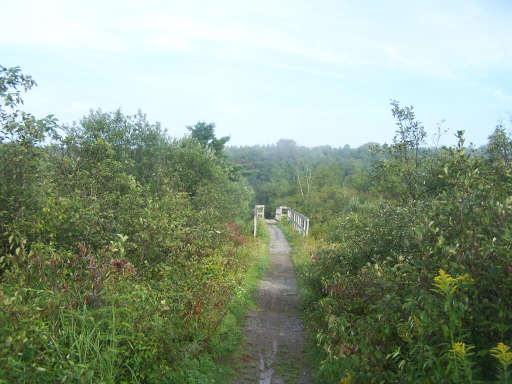 Photo: Beaver Creek Horse Trail 60 Bridge
