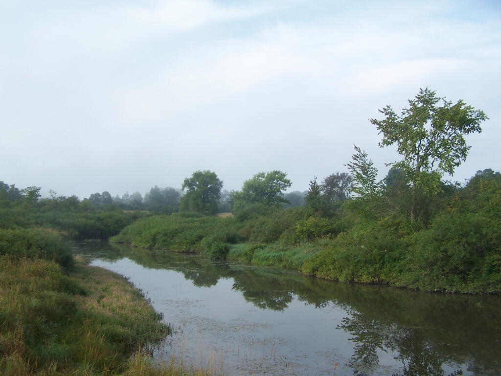 Photo: Beaver Creek Looking South