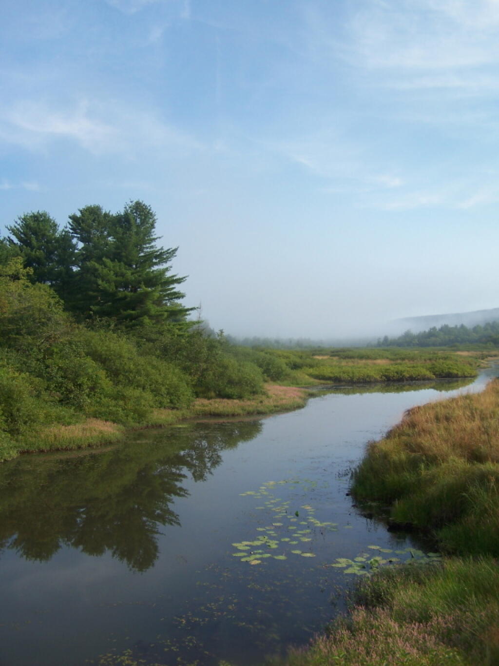 Photo: Beaver Creek in the Morning Photo: Beaver Creek in the Morning