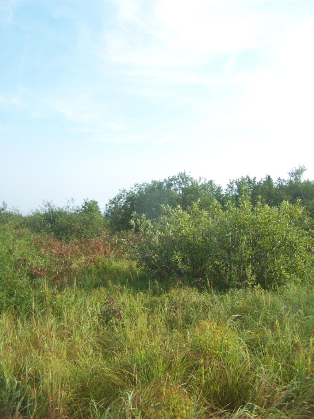 Photo: Along the Horse Trail Photo: Along the Horse Trail