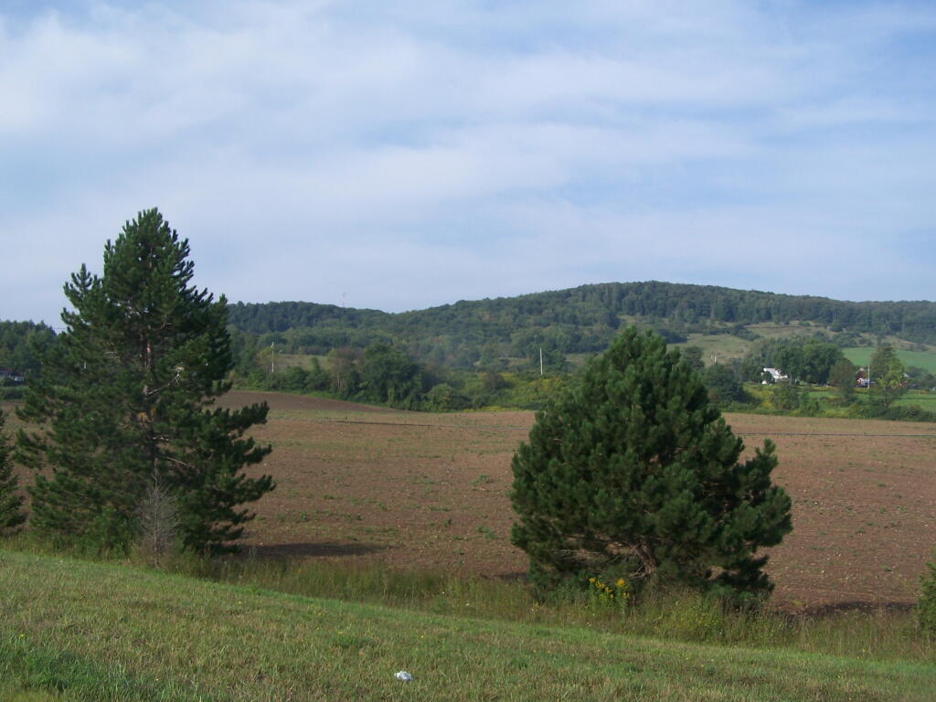 Photo: Rolling Farm Country Along NY 8