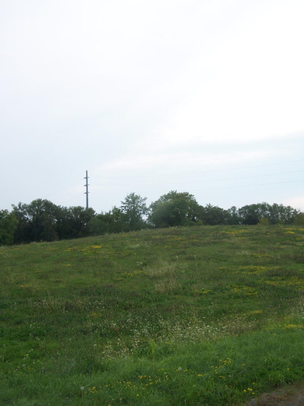 Photo: Harbor Lock Rd Dump