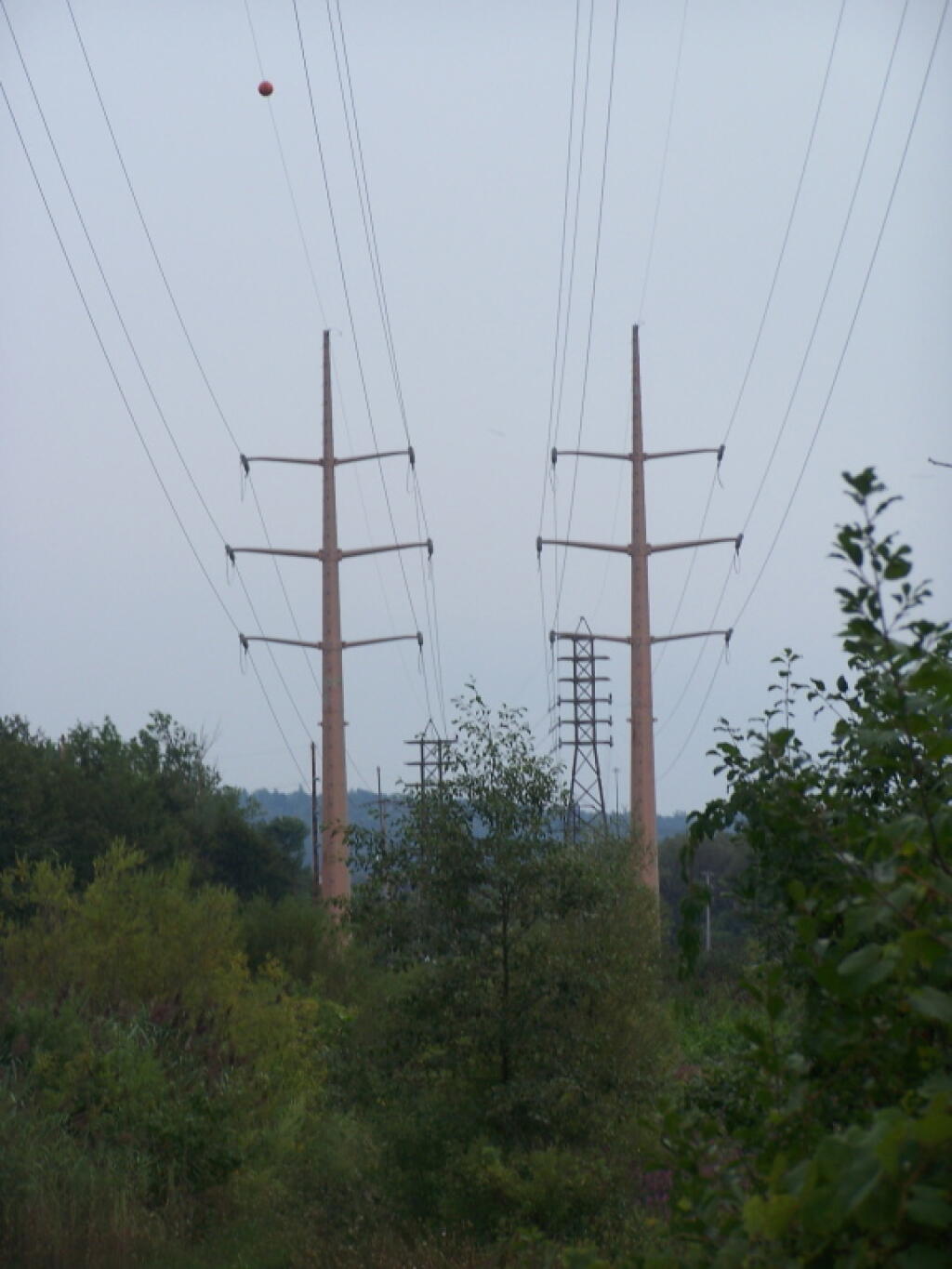 Photo: Interconnect Lines Over Utica Marsh