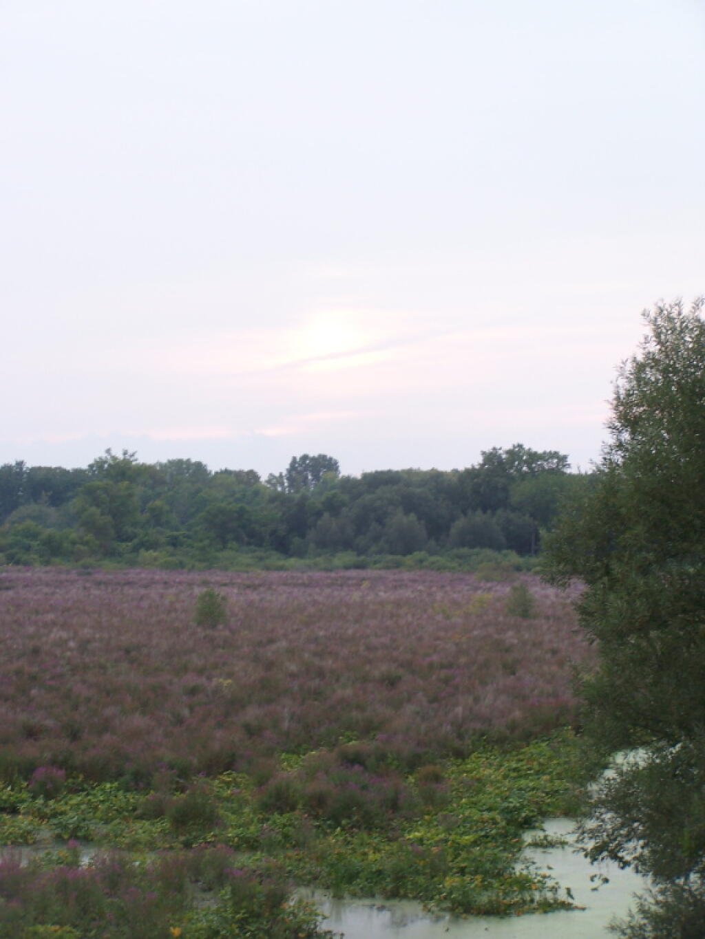 Photo: Setting Sun