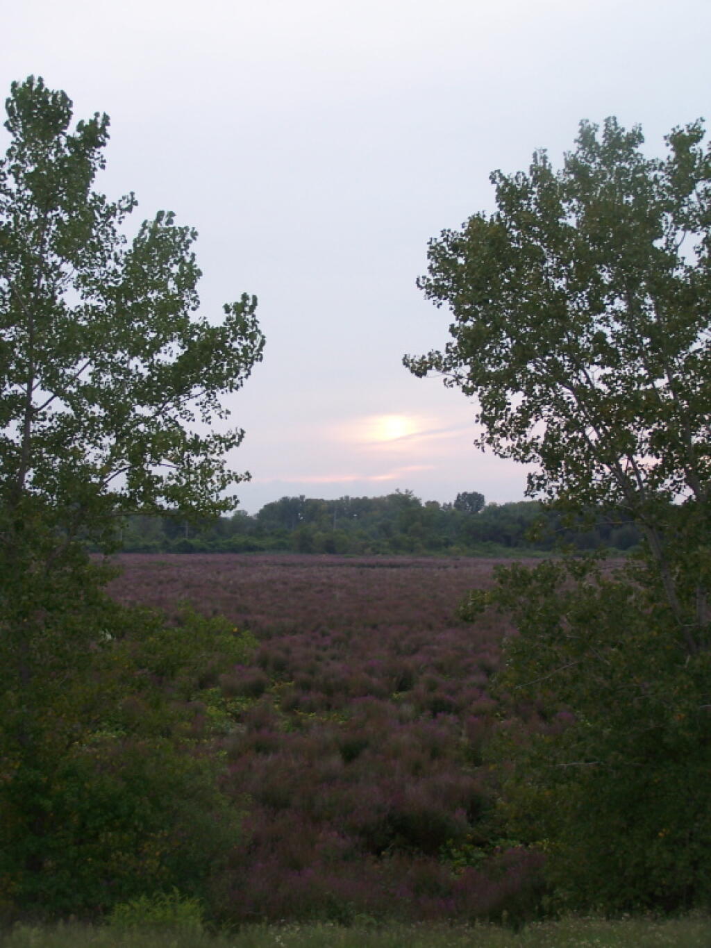 Photo: Setting Sun