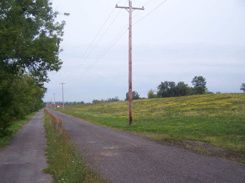 Photo: Along the Old Dump