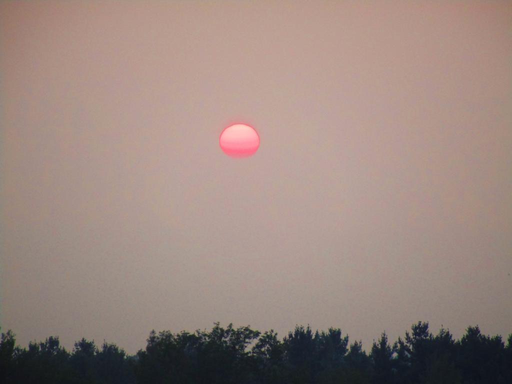 Photo: Many Nights Sunsets