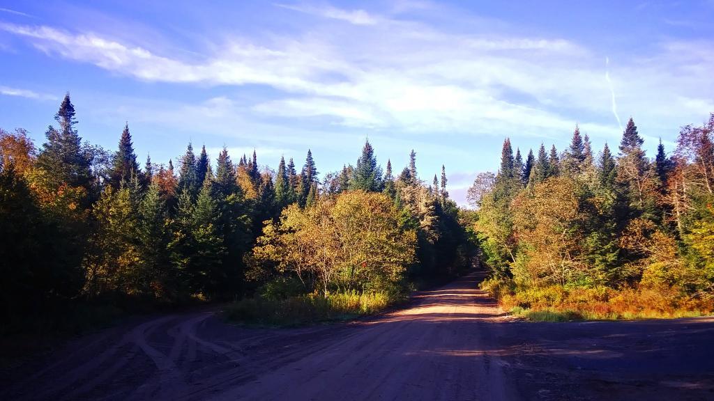 Photo: Morning at Powley Place Photo: Morning at Powley Place