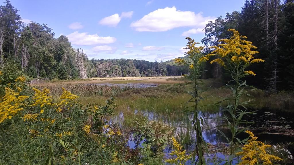 Photo: Beautiful September Day