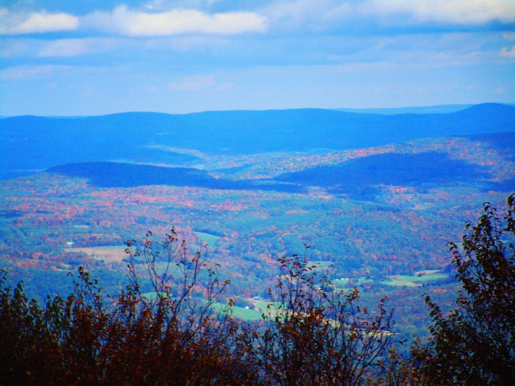 Photo: Color in the Higher Elevations Above Gilboa