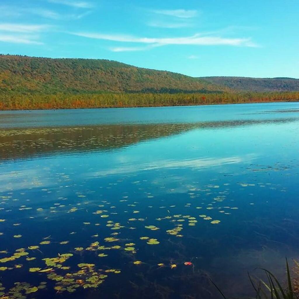 Photo: Labrador Pond Photo: Labrador Pond