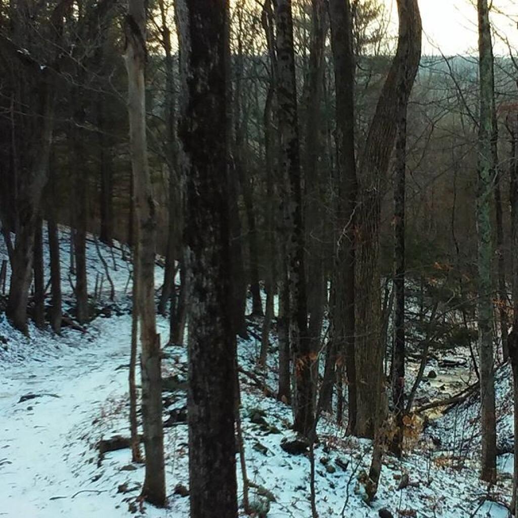 Photo: Gully Photo: Gully