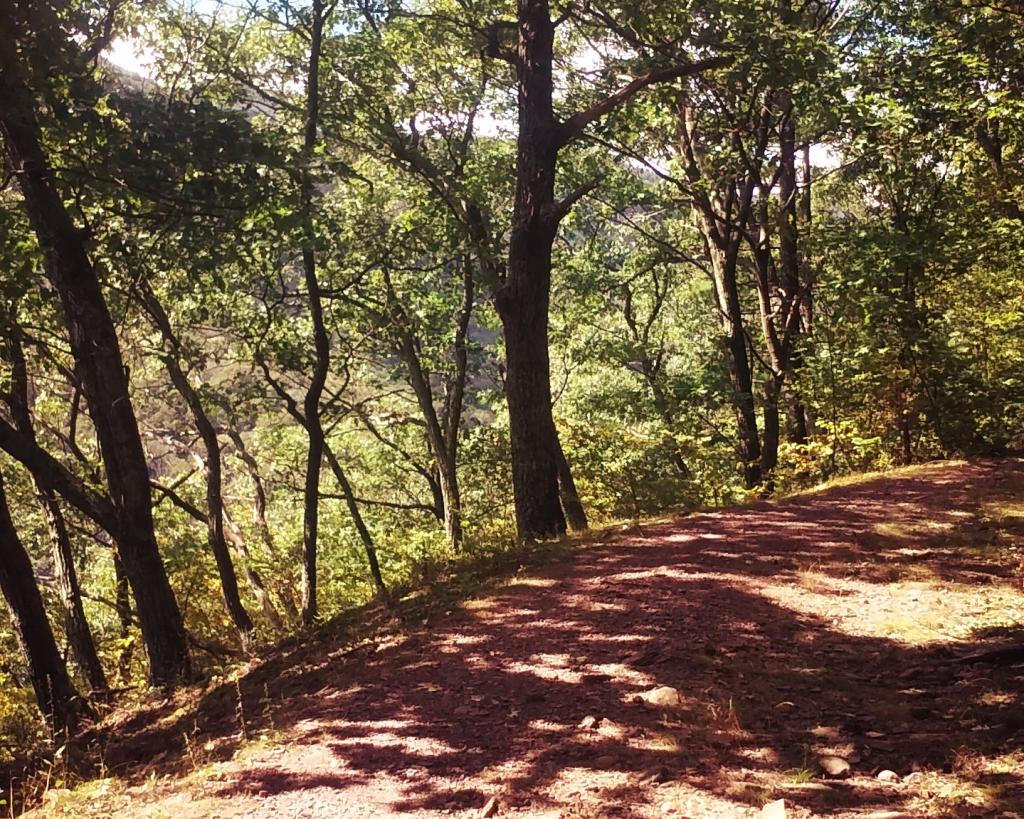 Photo: Old Road