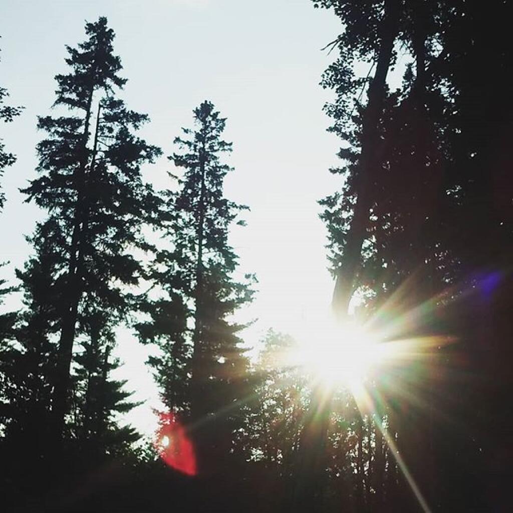 Photo: Morning has broken in the Klipnocky Woods