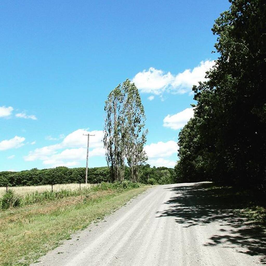 Photo: Matthew's Hill Road