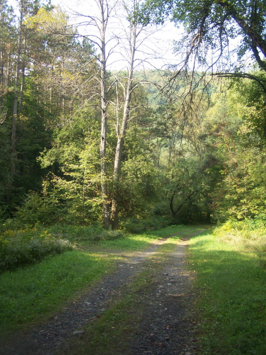 Photo: Towards Ridge of Valley