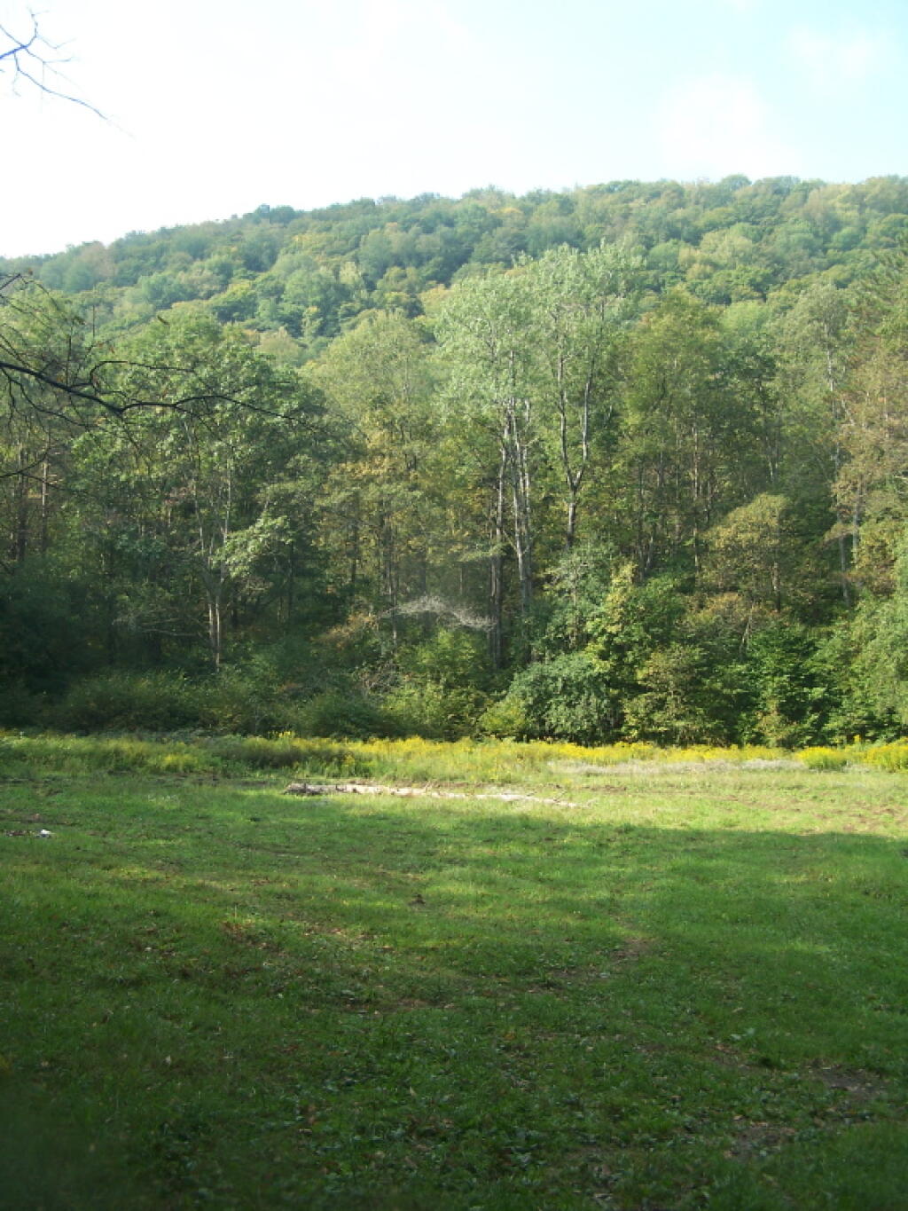 Photo: Open Field in Back of Former CC Camp
