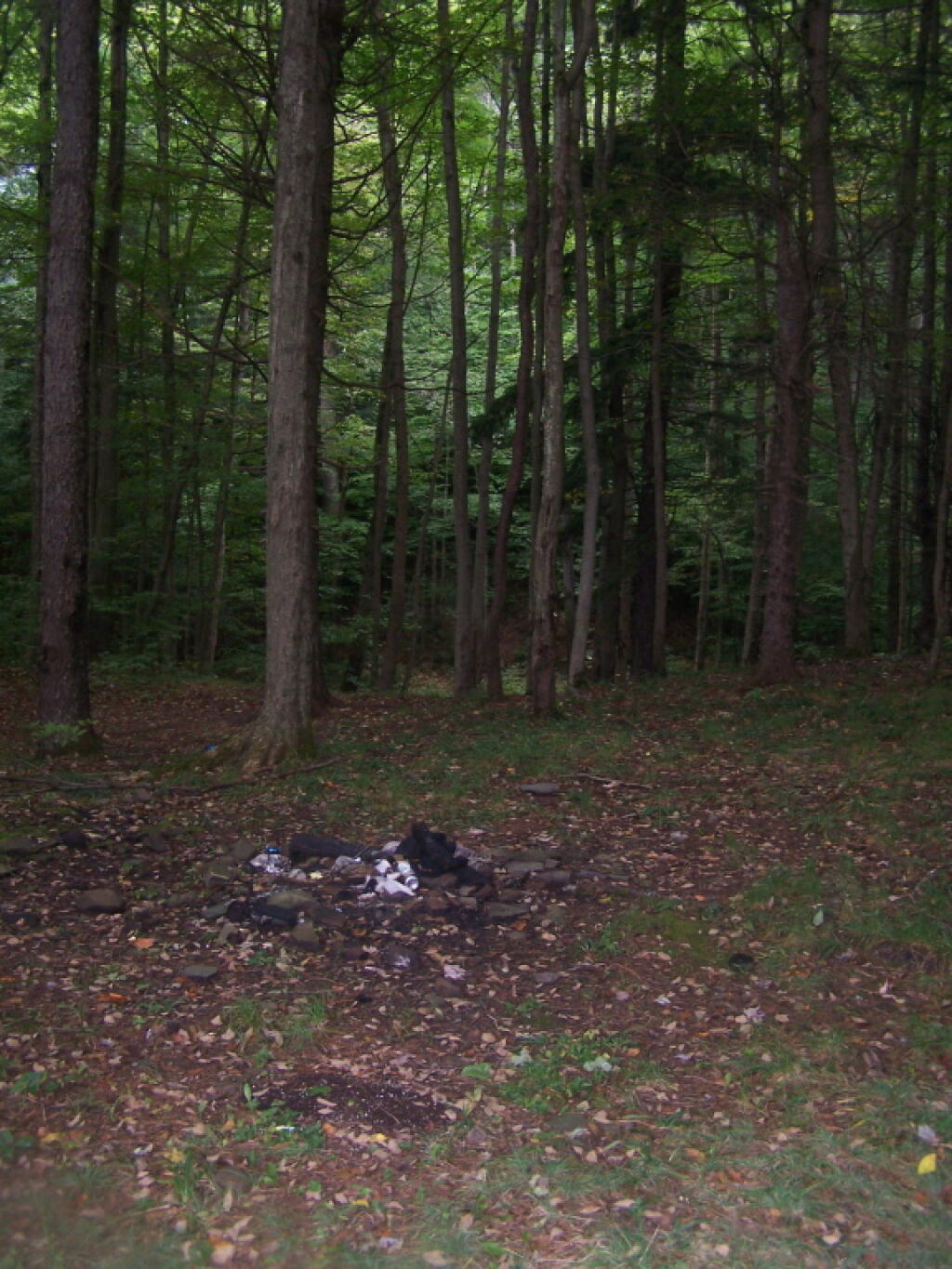 Photo: Campsite Along Creek