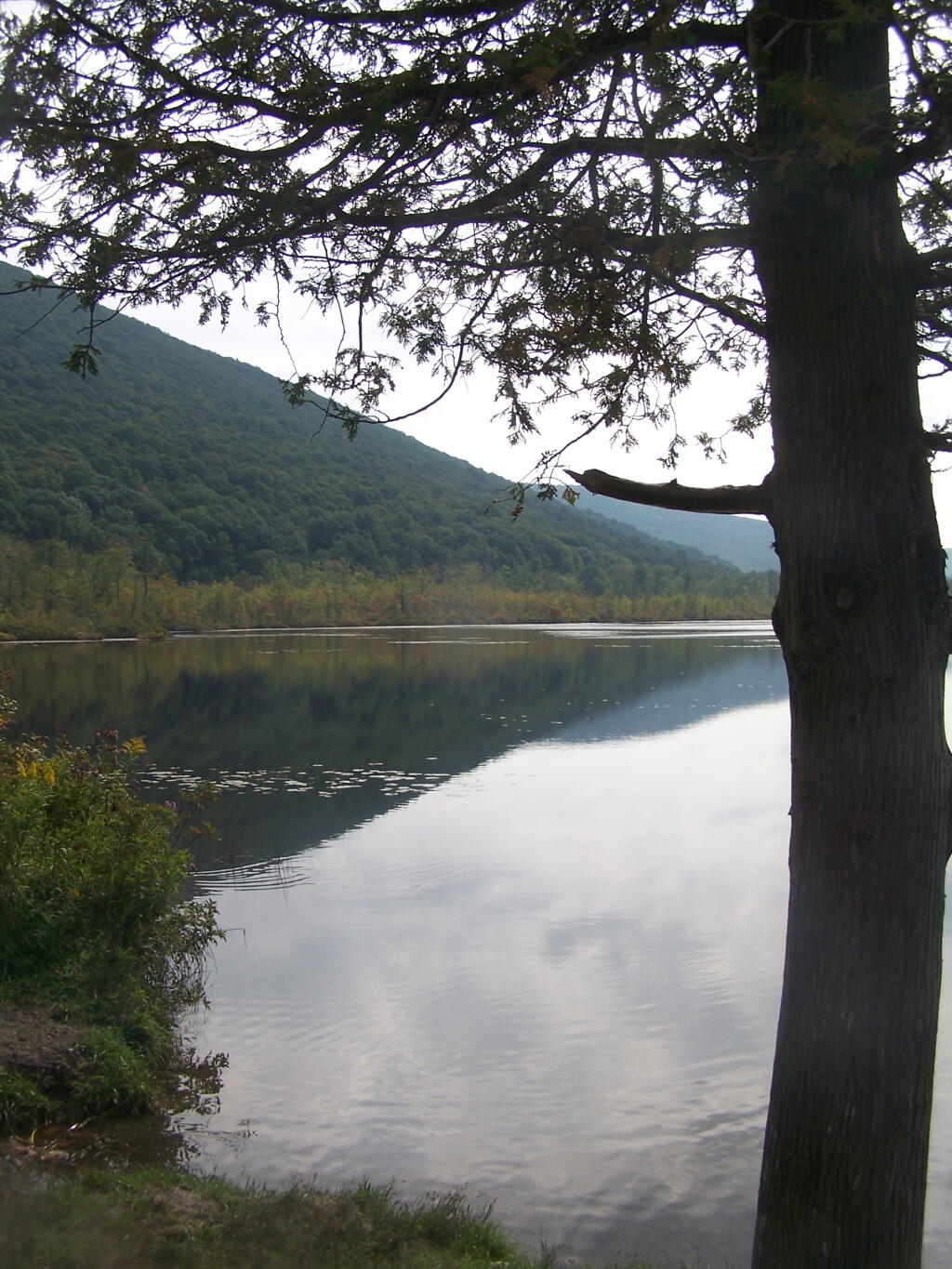 Photo: Jones Hill Photo: Jones Hill