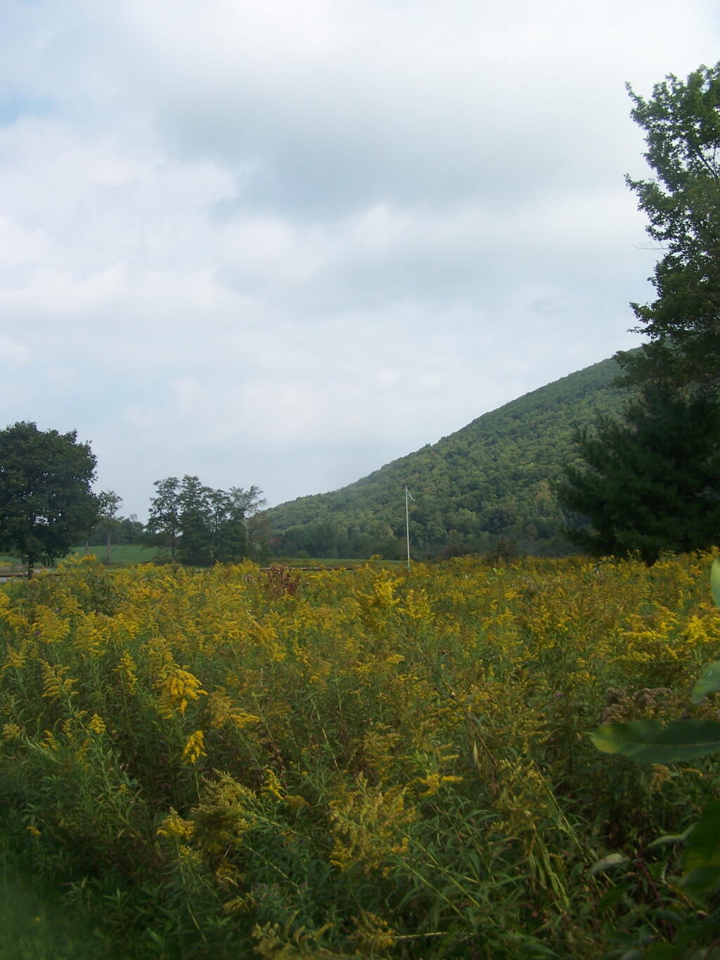 Photo: Jones Hill