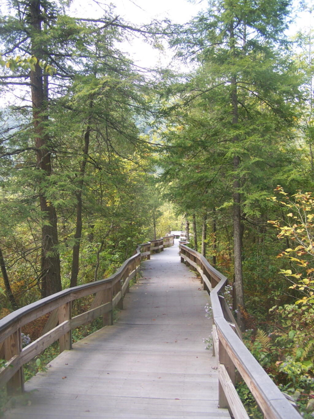 Photo: Boardwalk Photo: Boardwalk