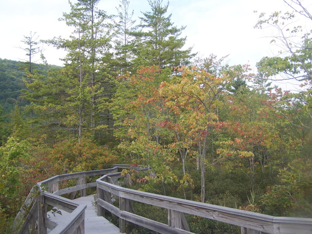 Photo: Hints of Falls Colors