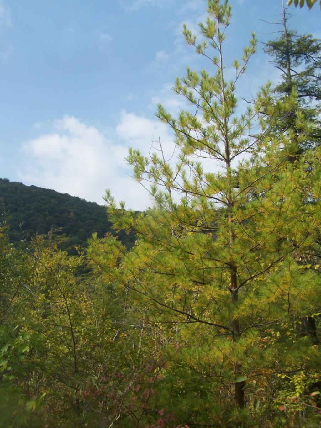Photo: Untitled Photo: Untitled