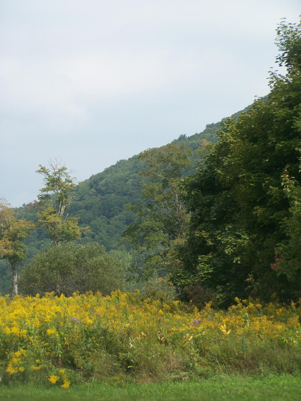Photo: Jones Hill