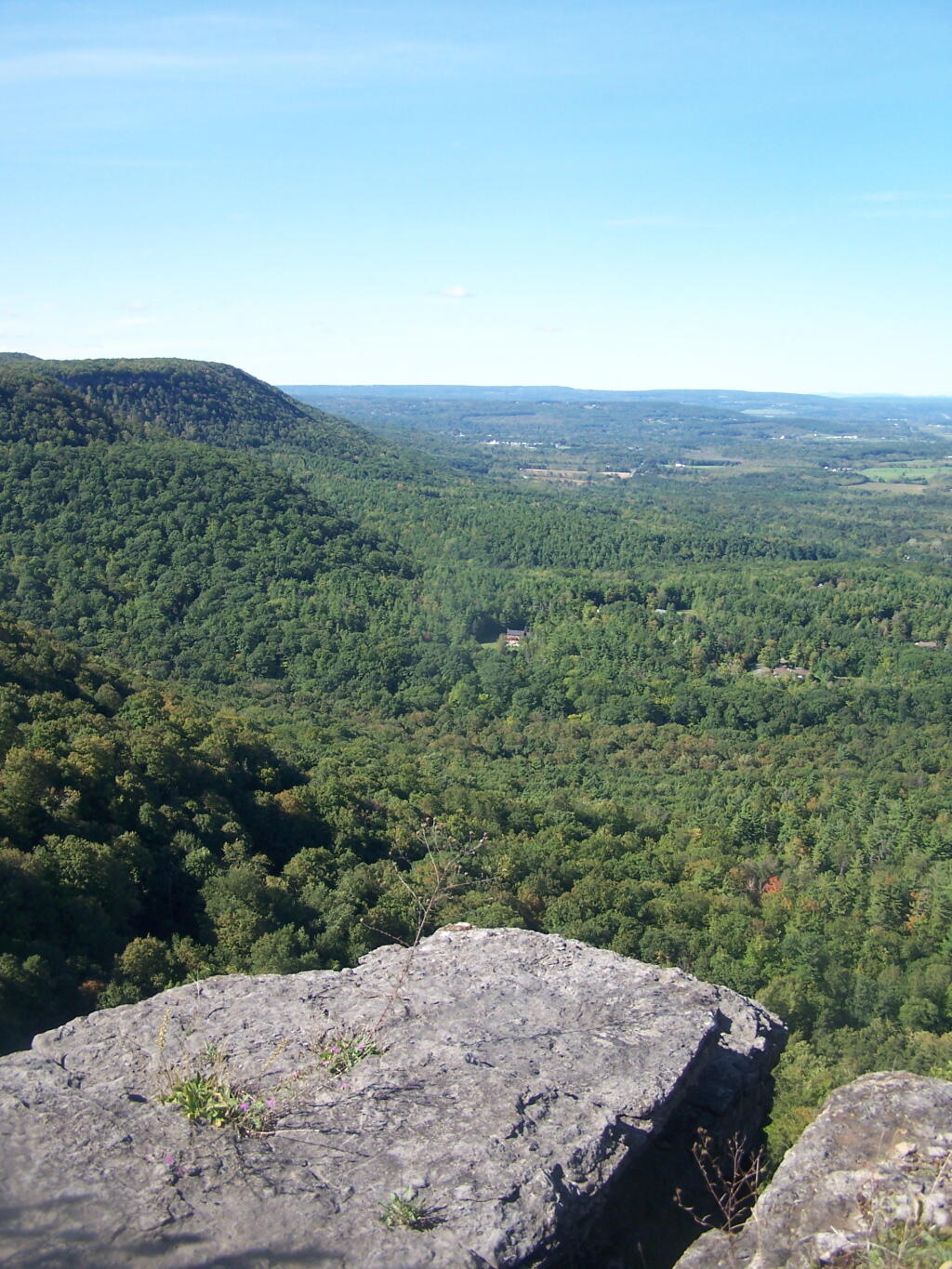 Photo: Towards Altamont Photo: Towards Altamont
