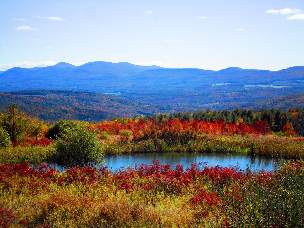 Photo: Hillcross Pond - Catskill Mountains