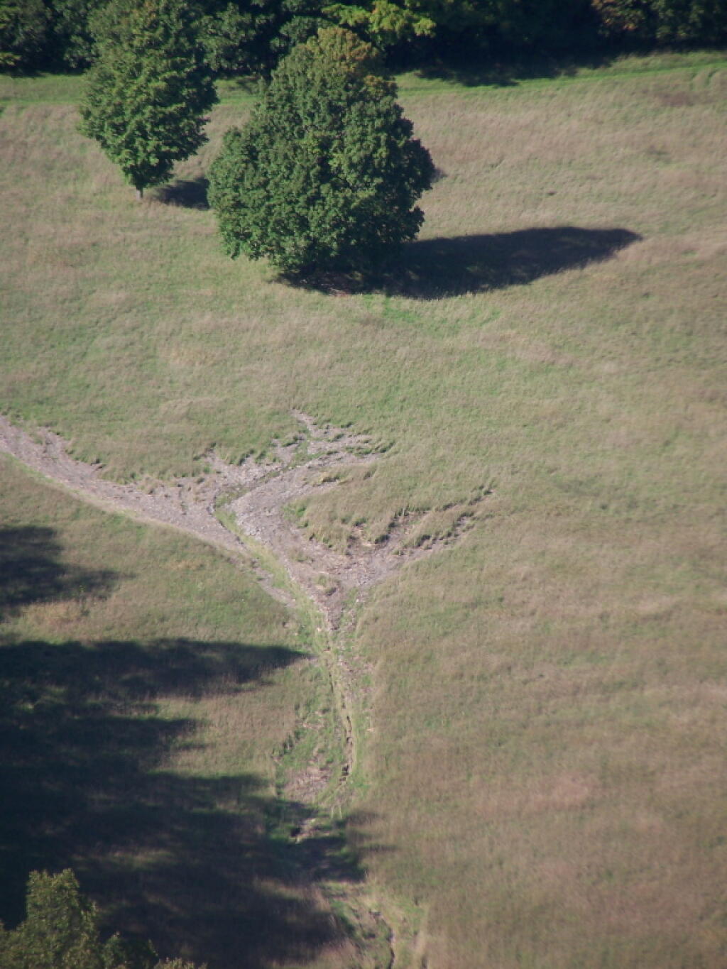 Photo: Erosion in a Farm Field from Irene Photo: Erosion in a Farm Field from Irene