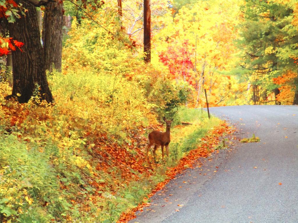 Photo: Danger on Every Curve