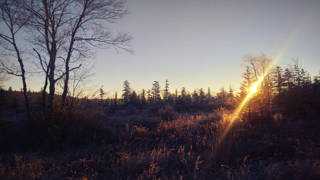 Photo: Sunrise Photo: Sunrise