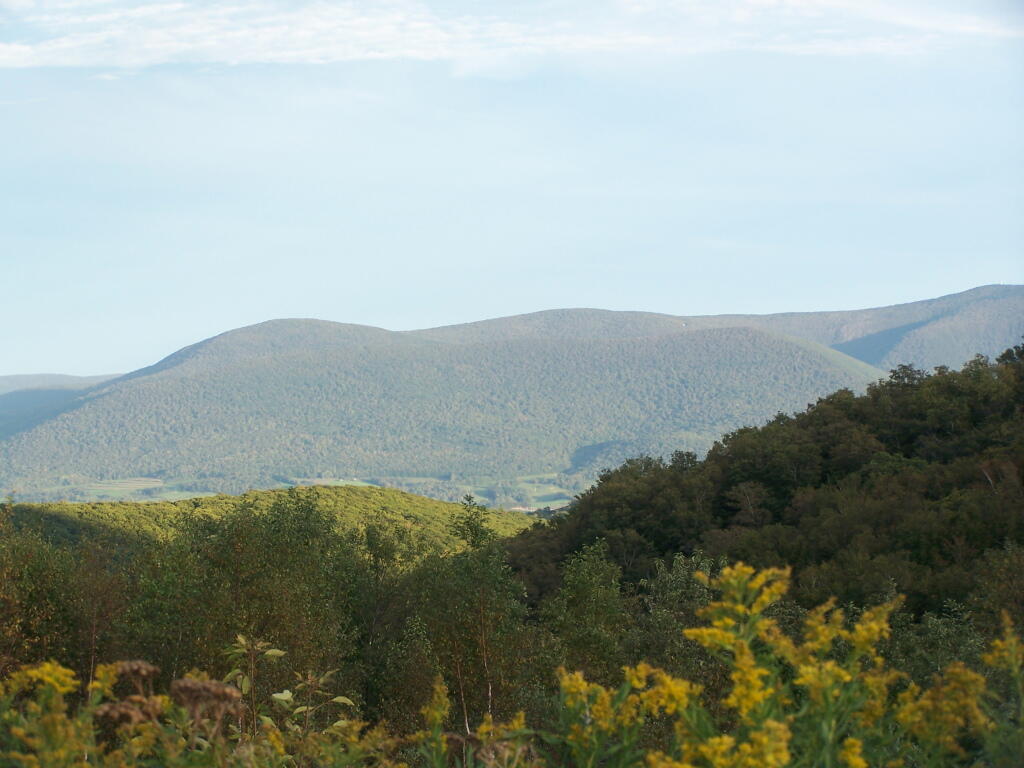Photo: Mount Greylock Reservation