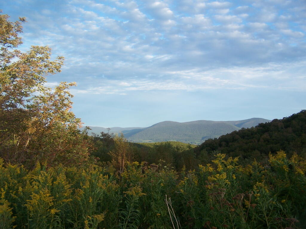 Photo: Clouds Photo: Clouds