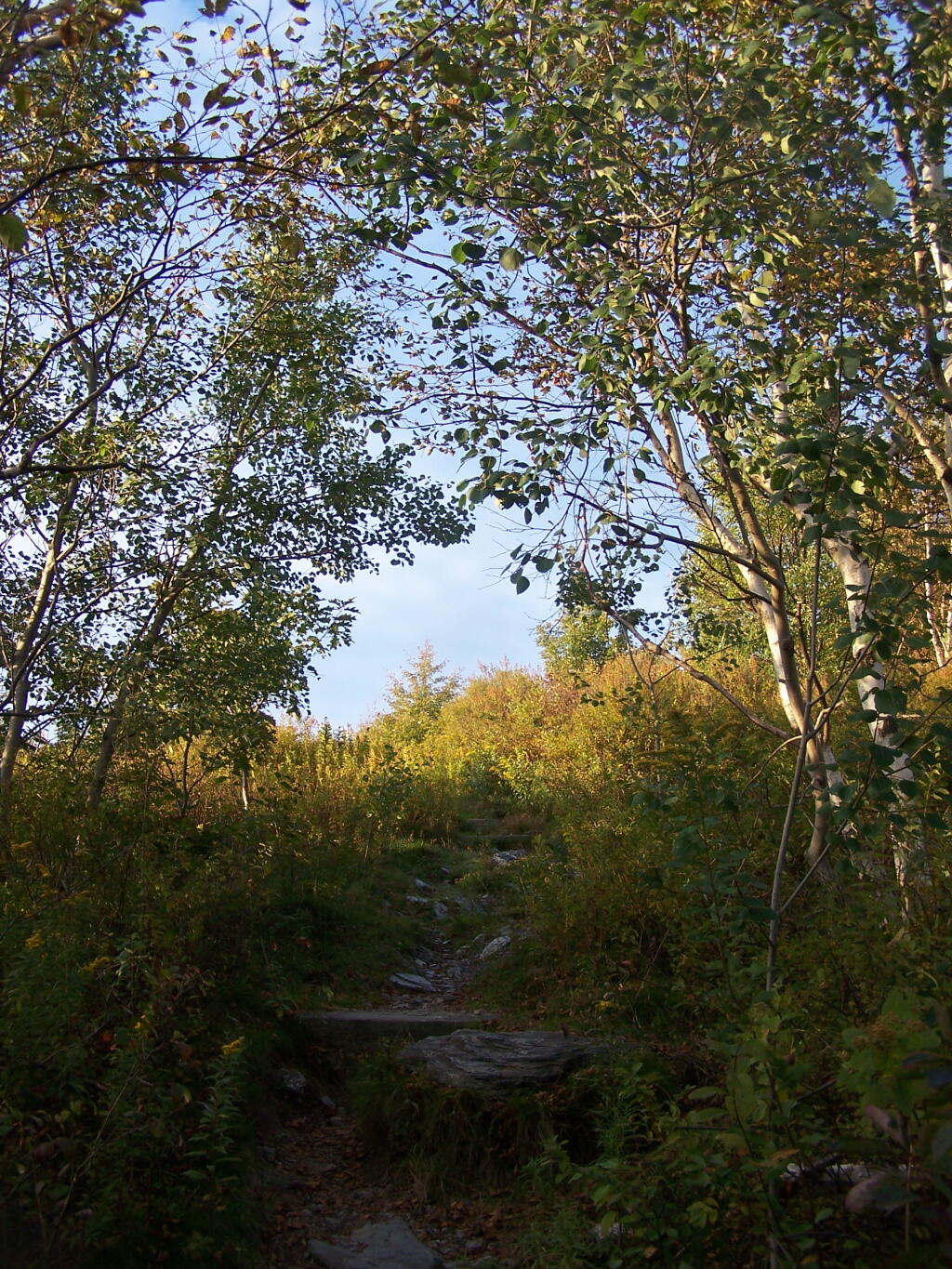 Photo: Heading Up Towards White Rocks