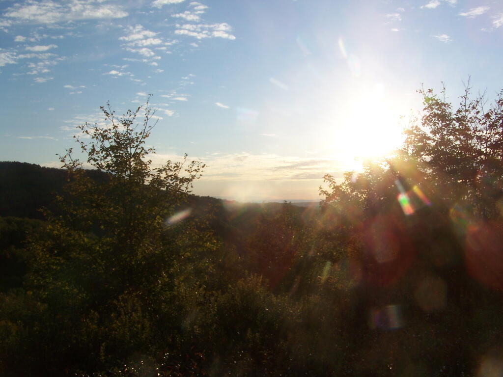 Photo: Sun Rays