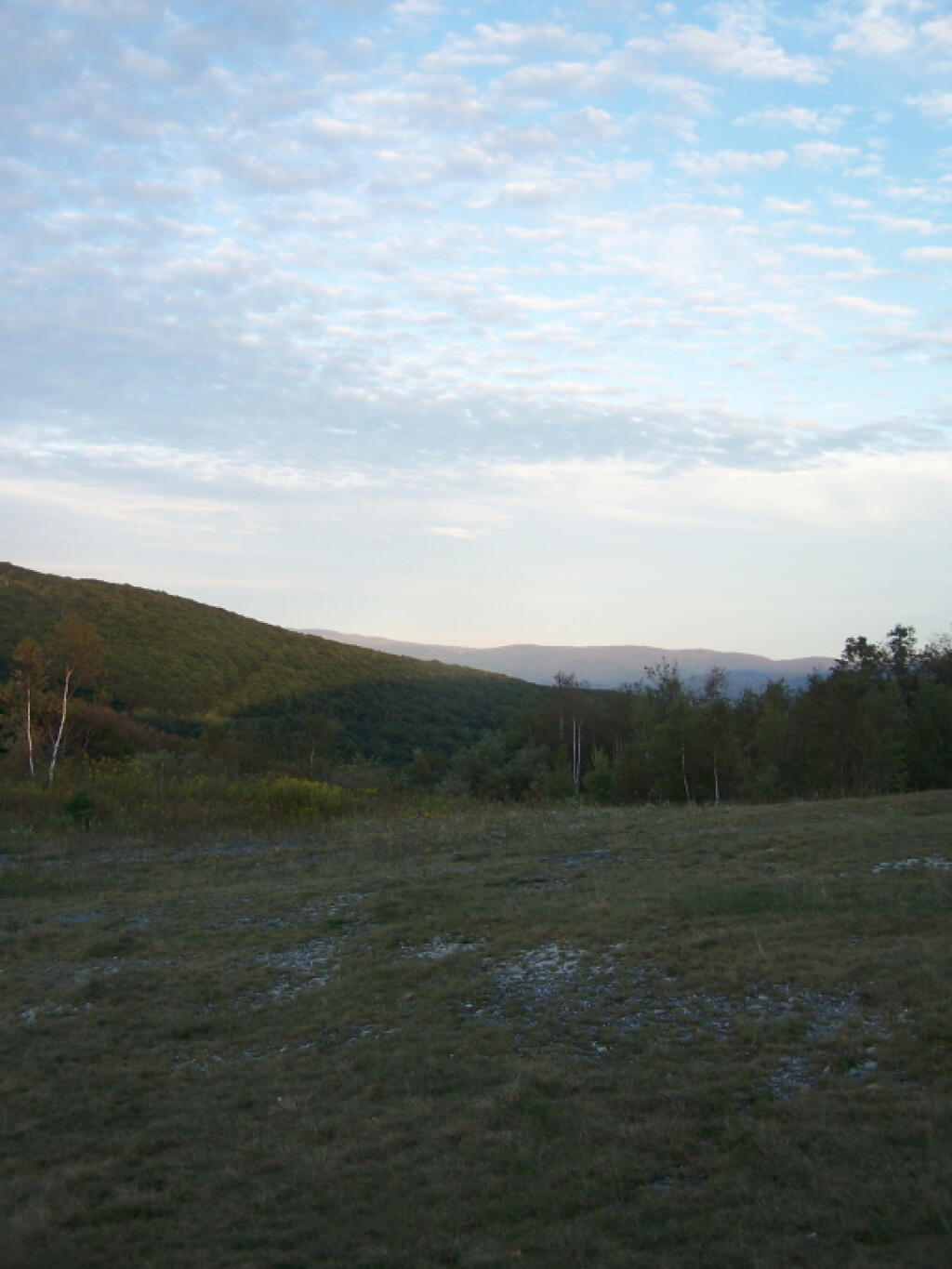 Photo: Field